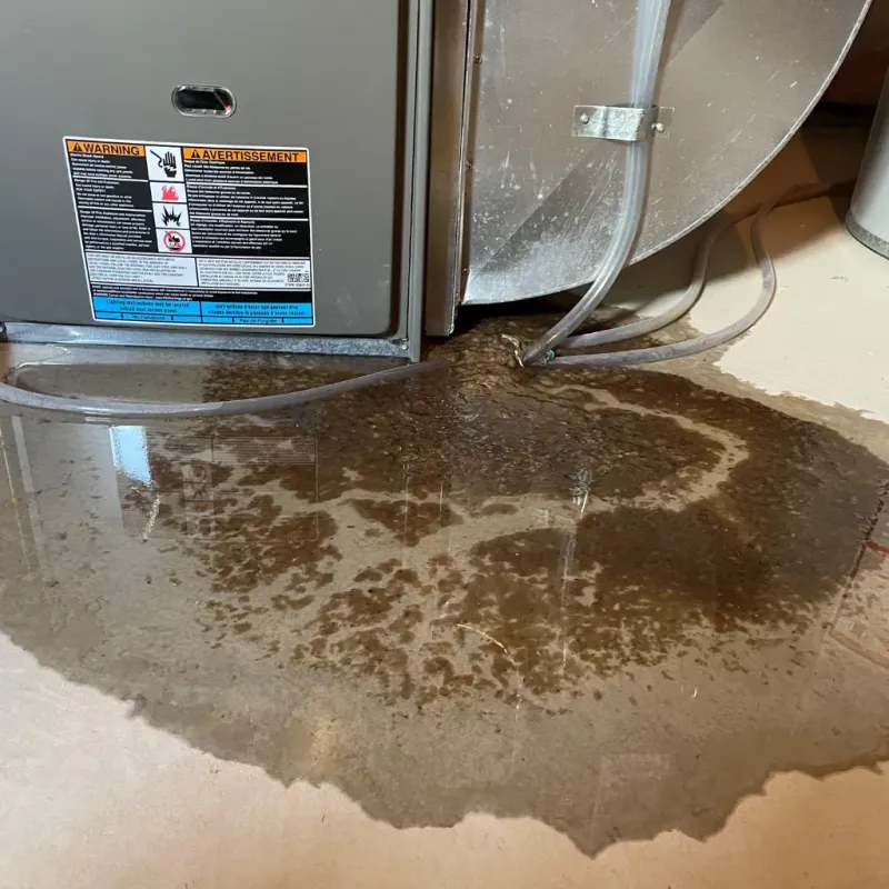 Appliance Leak Cleanup in Johnson Lane, NV